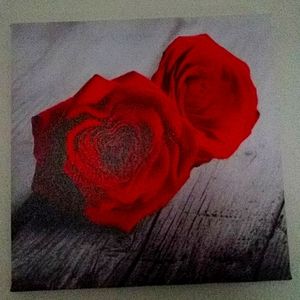 Set of 4 wall canvasses